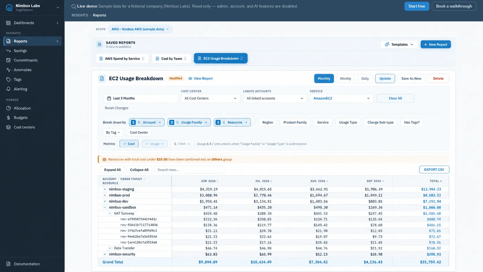 The report builder showing an EC2 Usage Breakdown report — scope, date range, cost-center, account and service filters, a break-down-by dimension chooser, and a monthly pivot table with account, usage family, and resource rows down to a grand total.